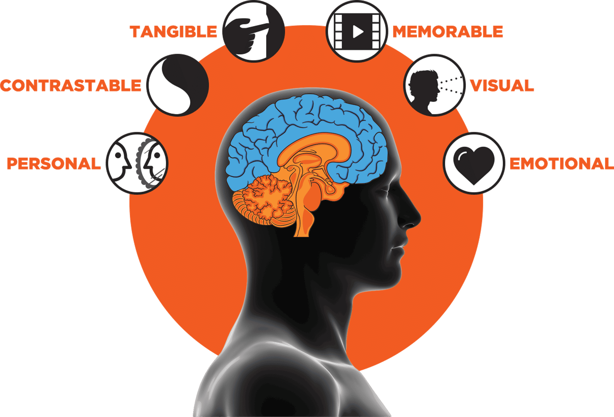 6 Stimuli SalesBrain Capture Convince Close More Sales